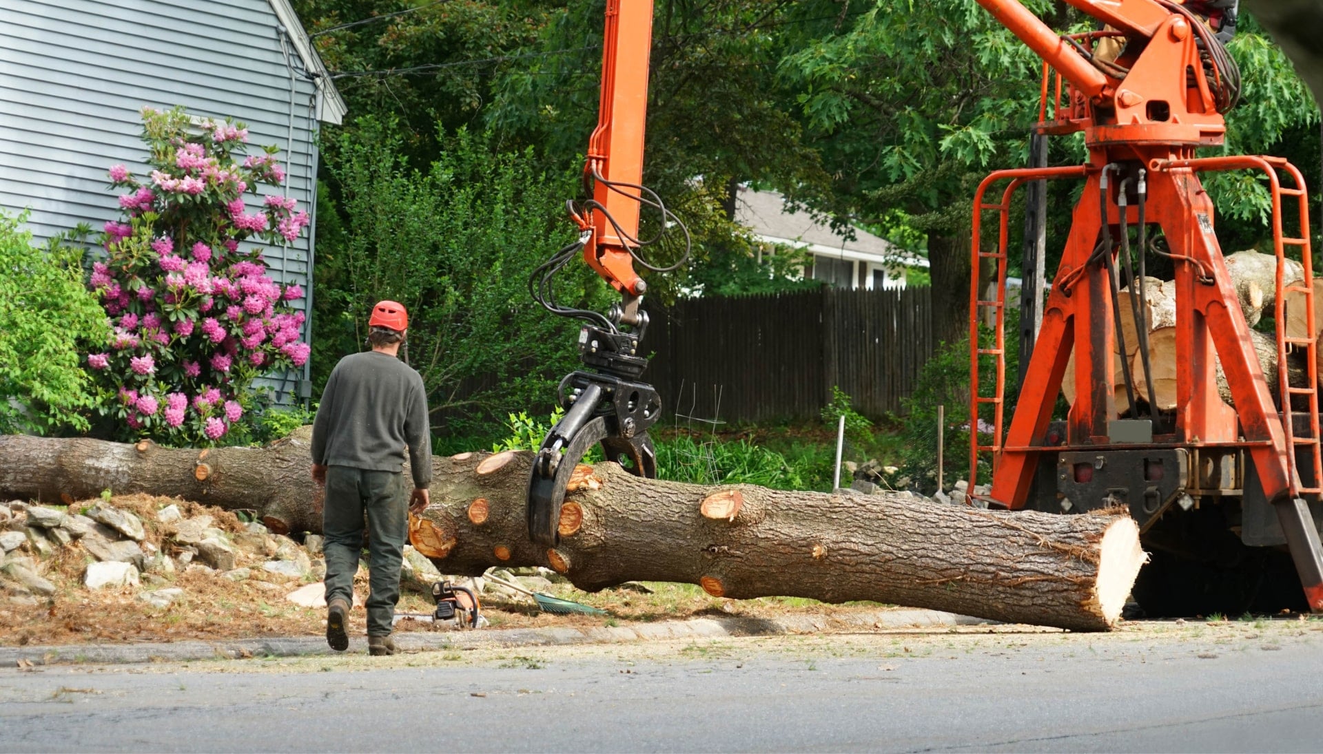 Heavy machinery is used to remove a tree after cutting in Brooklyn, NY.