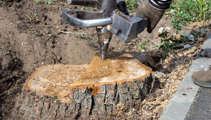 A stump grinding machines makes the job easier during tree removal services on a Brooklyn, NY property.